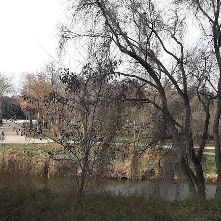 Apartment on Karla Marksa Avenue Kryvyi Rih Dış mekan fotoğraf
