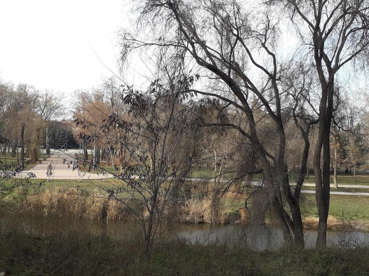 Apartment on Karla Marksa Avenue Kryvyi Rih Dış mekan fotoğraf