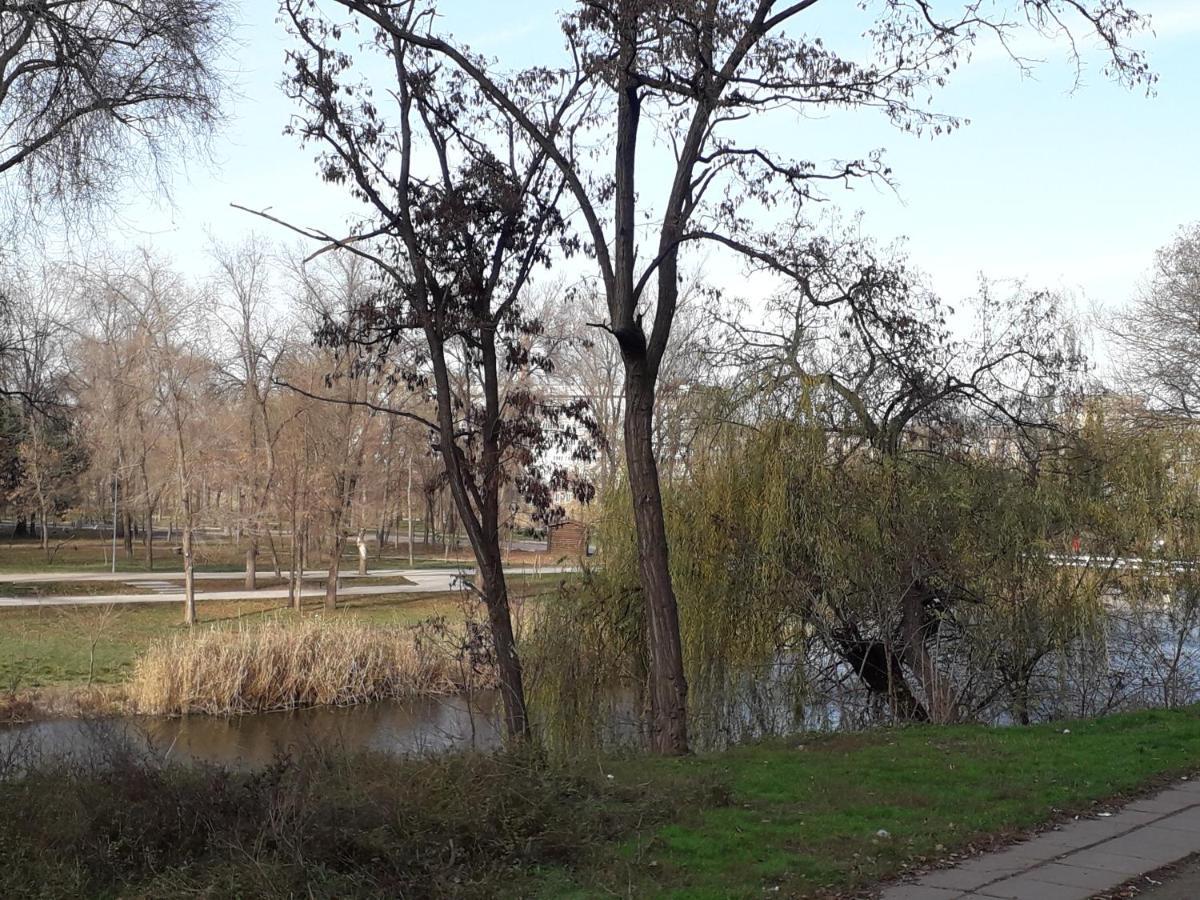 Apartment on Karla Marksa Avenue Kryvyi Rih Dış mekan fotoğraf