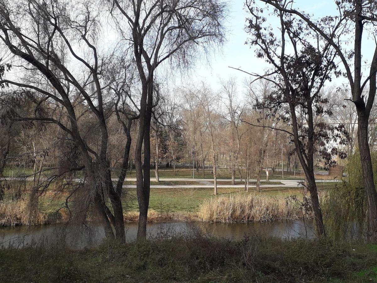 Apartment on Karla Marksa Avenue Kryvyi Rih Dış mekan fotoğraf